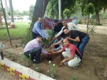 School Plantation Drive at KV No.1, AFS, Agra